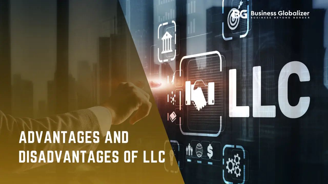 LLC Meaning