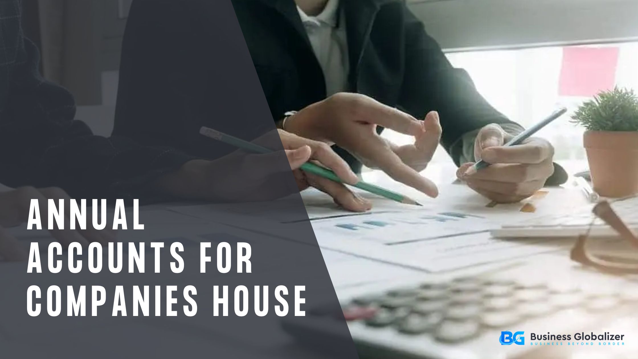 Annual Accounts for Companies House
